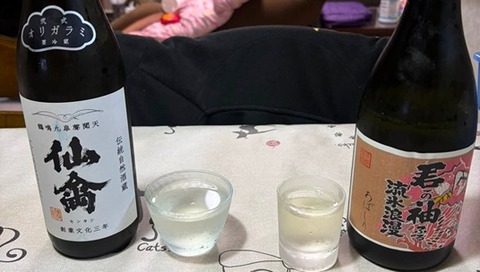 仙禽&流氷浪漫