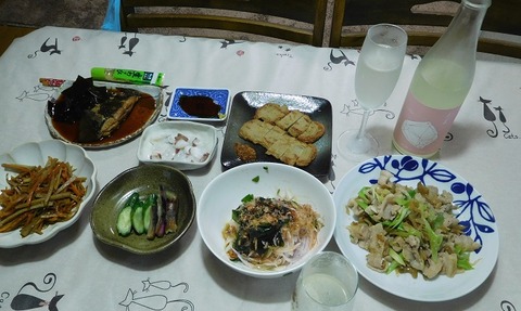 6月28日の夕食