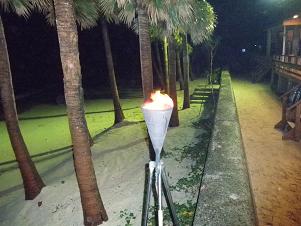 奄美大島23