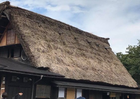 白川郷の茅葺屋根