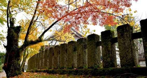 ·Ú²ð¸î¼Ô¥µ¡¼¥Ó¥¹¤ÎÃϰè»Ù±ç»ö¶È²½¸«Á÷¤ê