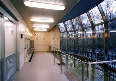 �����Ἴ����