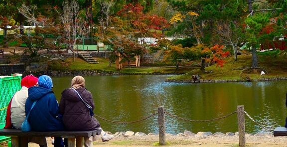 µ½âÖ¤ËËþ¤Á¤¿ÆüËܲð¸î»Ù±çÀìÌç°÷¶¨²ñ