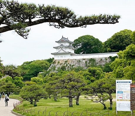 ���о����