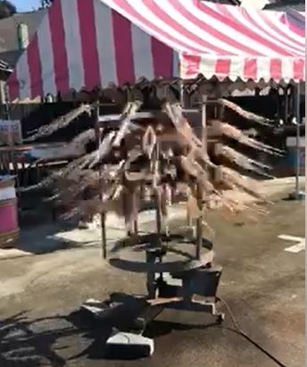 呼子の烏賊