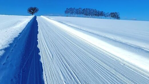 �ߤ��̳�ƻ����