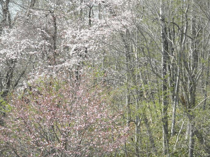 ������κ�2