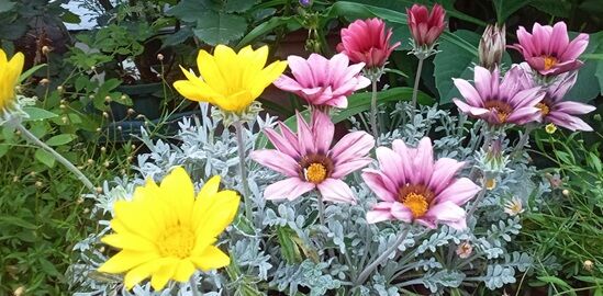 º£¤¤¤ë¾ì½ê¤Çºé¤¯²Ö