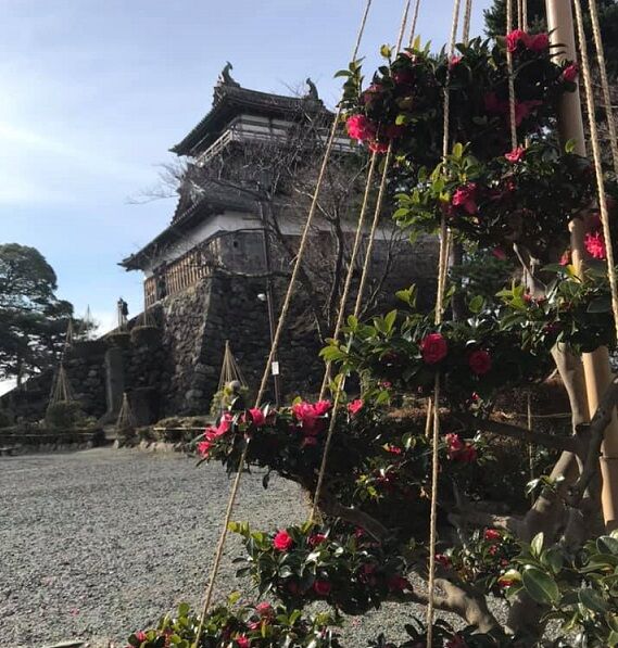 丸岡城2