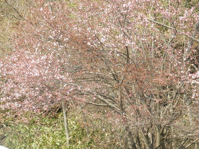 ������κ�3