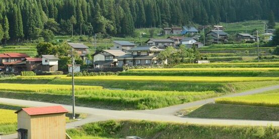 ÃϰèÊñ³ç¥±¥¢¥·¥¹¥Æ¥à