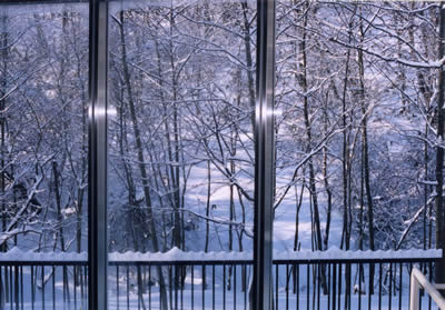 �Ἴ���鸫����ɹ