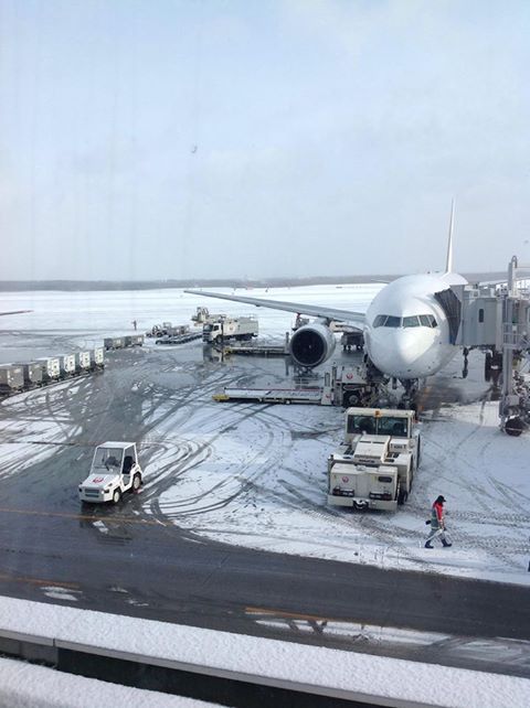 雪の新千歳空港