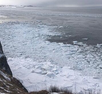 流氷接岸