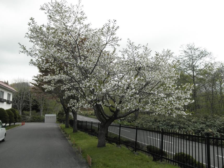 ���ƺ��ν�������Ȭ�ź�