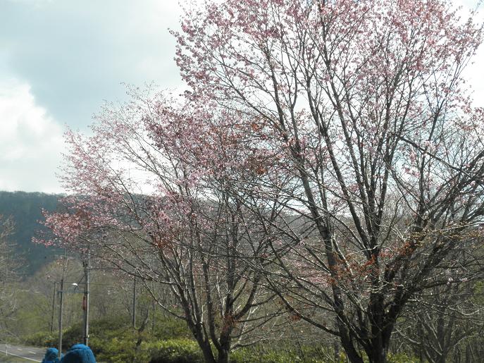 ������κ�