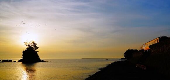 ͼÊë¤ì¤Î³¤±è¤¤¤òÁö¤ëÎó¼Ö