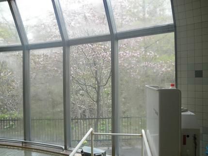 �Ἴ���鸫�����