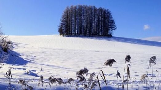 2����ô�Ԥγ���