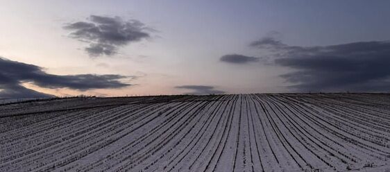 ������ٱ�������Ѽ���ôƳ��