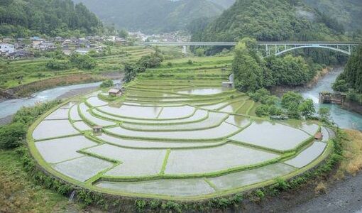 円形の棚田