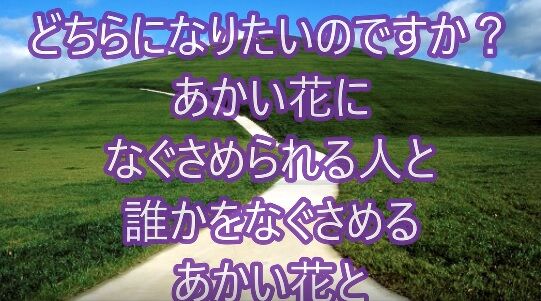 誰かを慰めるあかい花
