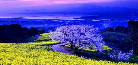 日本風景