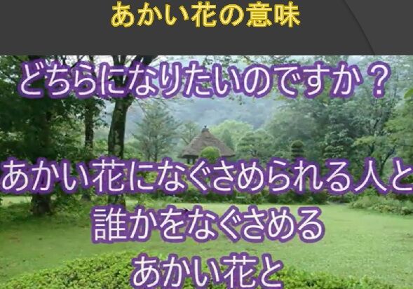 �̳�ƻ���ʡ��ƻ�줢������