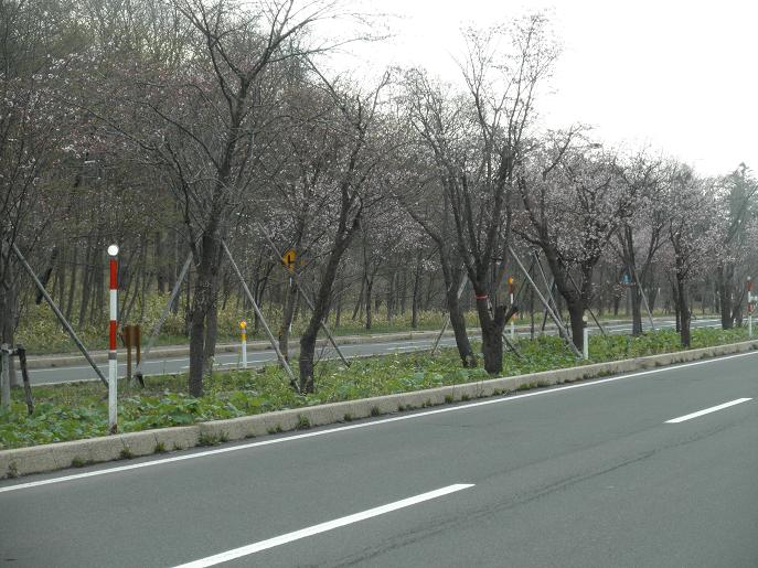 ���Υȥ�ͥ�2