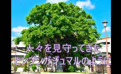 ヒンプンガジュマル