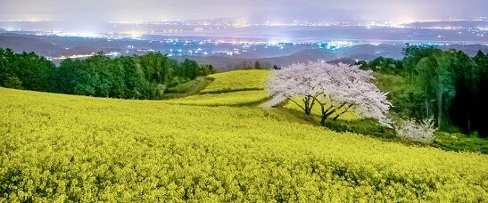 大地