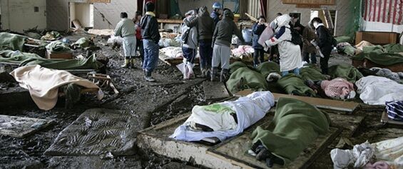 ÅìÆüËÜÂç¿ÌºÒ