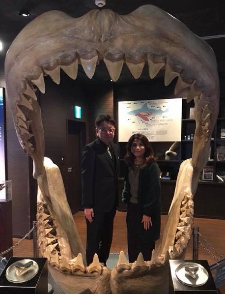 ������ҥ����⥨�󥸥��������Ĺ��