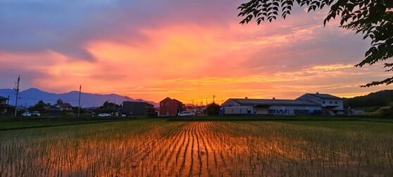 地域包括ケアシステム