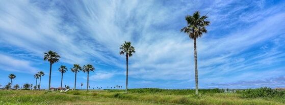 夏の風景