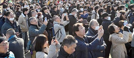 ��Լ���α������in����