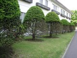85db0f39.jpg