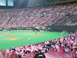 �ԥ󥯿������ޤä����ڥɡ�����פ�