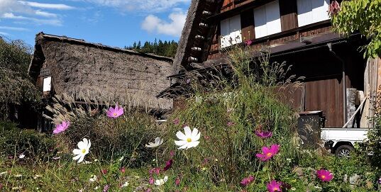 白川郷