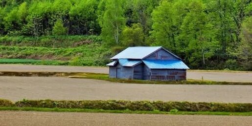 中山間地