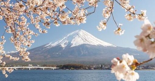 富士と桜