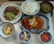 日替わり弁当