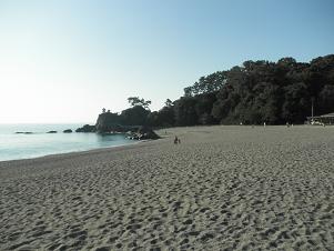 桂浜4