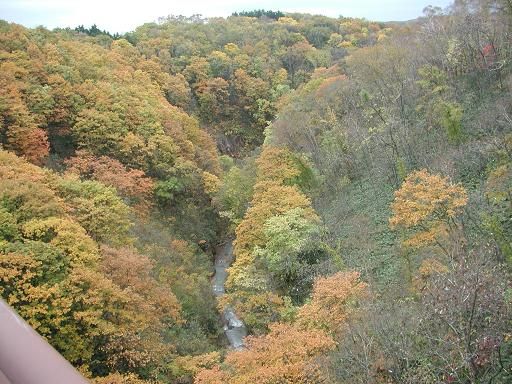 �����綶���鸫������