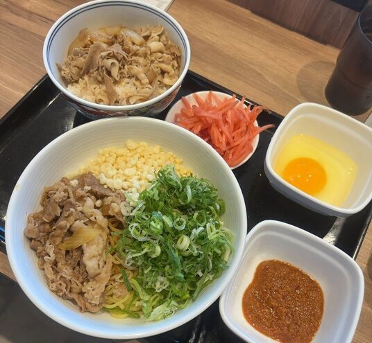 牛玉スタミナまぜそば・767円、豚丼小盛432円。