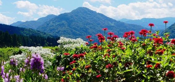 狼¤Î¤¢¤«¤¤²Ö¤Ë¤Ê¤ë¤¿¤á¤Ë