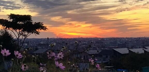 À¸¤¤ë¤ò»Ù¤¨¤ë