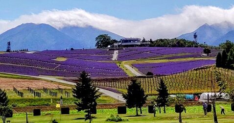 上富良野の風景