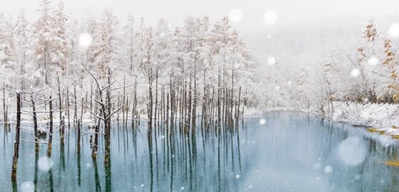 ����Ĥ���