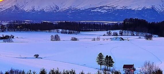 �̳�ƻ����Į